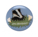 pin 4